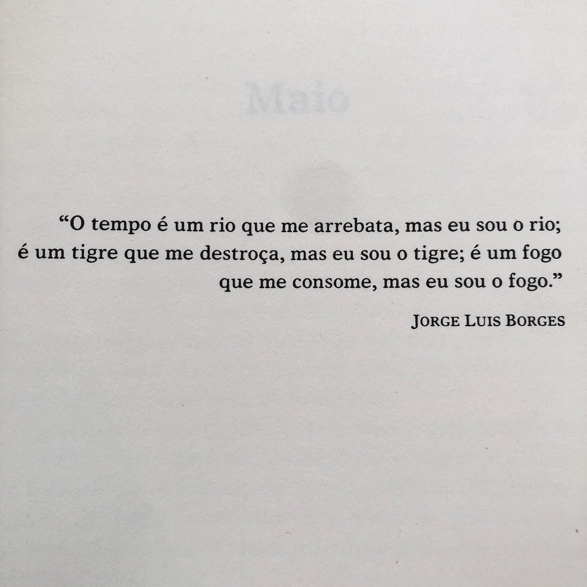 tayla mislany tweet media