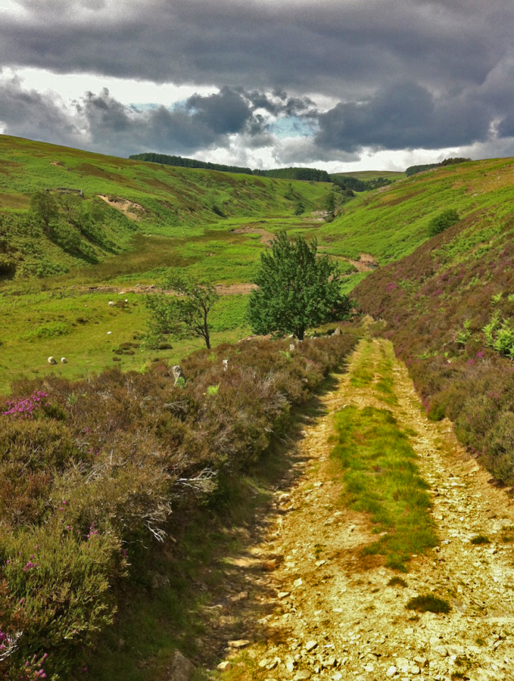 cottage1863's tweet image. A few shots of #Beldon Burn and #Castleberry Clough from last year 😎

Beldon Burn is the boundary between County #Durham and #Northumberland in the #NorthPennines @NorthPennAONB 

And of course it is on the door step of #MansionCottage 👍