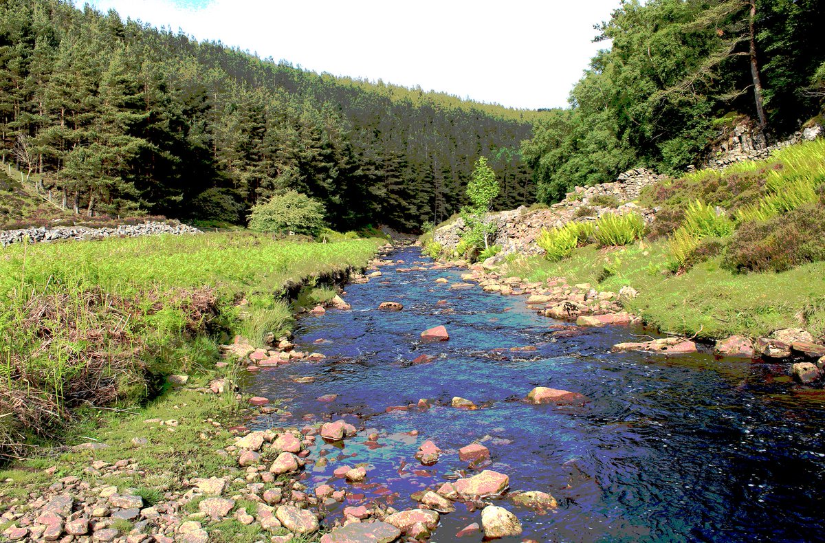 cottage1863's tweet image. A few shots of #Beldon Burn and #Castleberry Clough from last year 😎

Beldon Burn is the boundary between County #Durham and #Northumberland in the #NorthPennines @NorthPennAONB 

And of course it is on the door step of #MansionCottage 👍