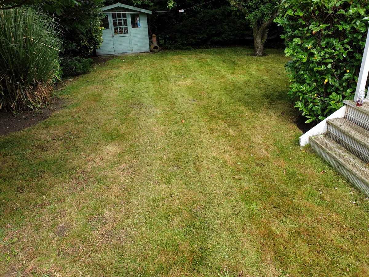 Andy_Fowler's tweet photo. Before and after picture of a jungle garden we tackled in Birkdale recently 😎😱 get in touch for a free quote 👍 https://t.co/KE4eG5hmAa