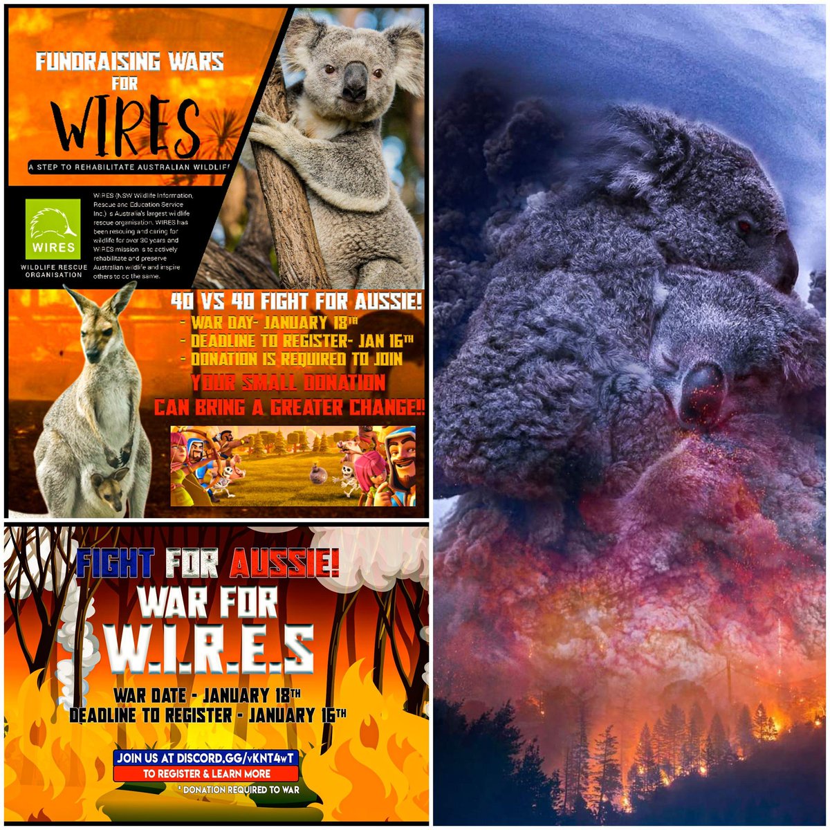 brienne88's tweet photo. War for cause! Join Us! 🇦🇺. The clash community is coming together to help raise much needed funds to support WIRES. 
:yt: - https://t.co/EeJpWu4Vlt
:fb: - https://t.co/MQQrsMdu9A
:FAPWWW: - https://t.co/ohVQ4vJf4B
:discord: - https://t.co/FIozS8LzZx https://t.co/yBiVv5BTd6 https://t.co/0f3TIzRBuI