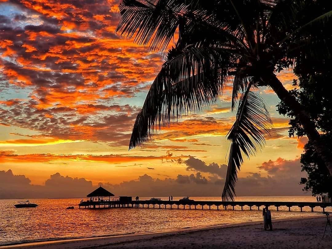 Reposting @outriggermaldives:
...
'We watch the sunset together tonight? 📸: @asidattey
#AlfrescoLiving #VisitUsAndMakeItHappen #Sky #NatureWorshipper #AbundanceOfFreshness #FeelingConnected #SmallAndBeauty #Maldives #OutriggerKonottaMaldives #OutriggerMaldives #OutriggerResorts'