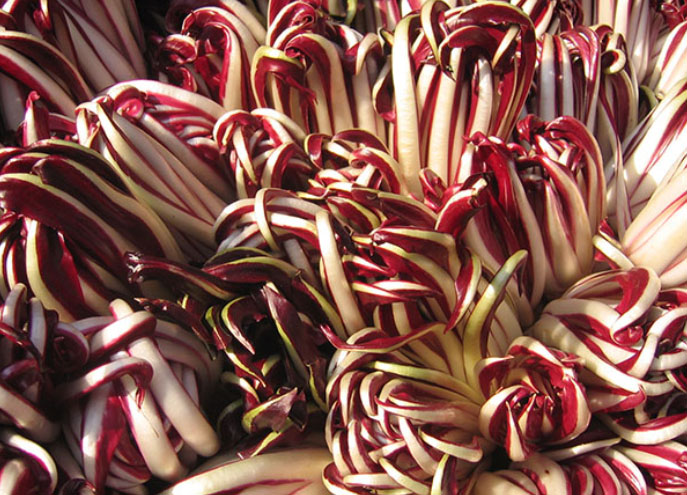 TurismoVeneto's tweet photo. Siete pronti per un fine settimana all'insegna del gusto? A #ZeroBranco e a #Mirano si festeggiano due eccellenze venete: il Radicchio Rosso e il Variegato IGP! Info --> https://t.co/Z5pwfuZtZL #VisitVeneto https://t.co/SUNrDpHGu2