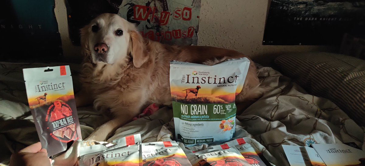 Weahdanyel's tweet photo. Recibido un regalito para mi pequeña que seguro que lo disfruta un montón #TrueInstinctES #NutriciónNatural @trnd_es https://t.co/p4PHgnNrnM