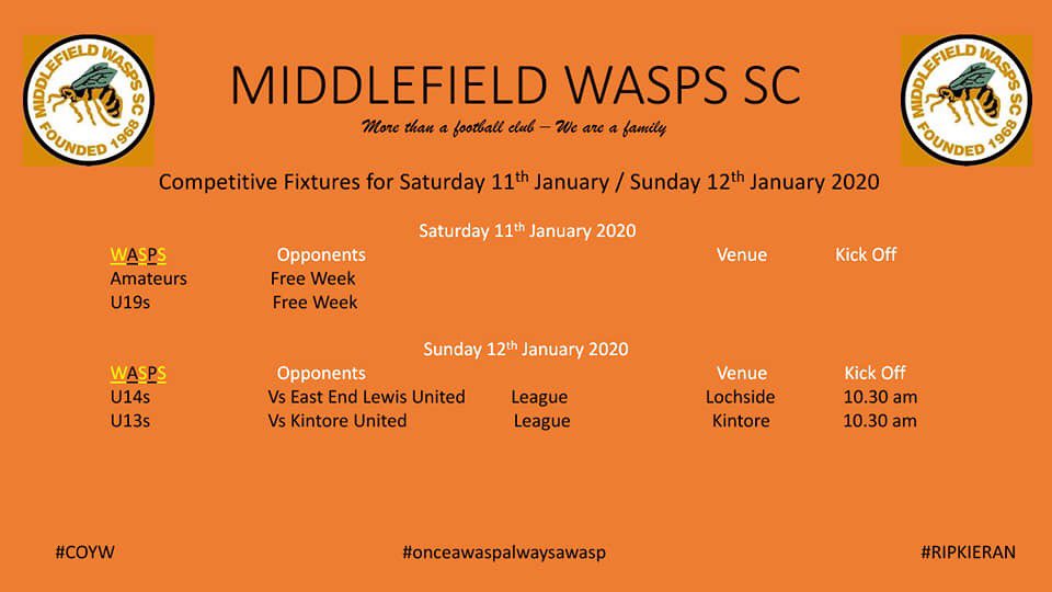 Middlefield Wasps tweet media
