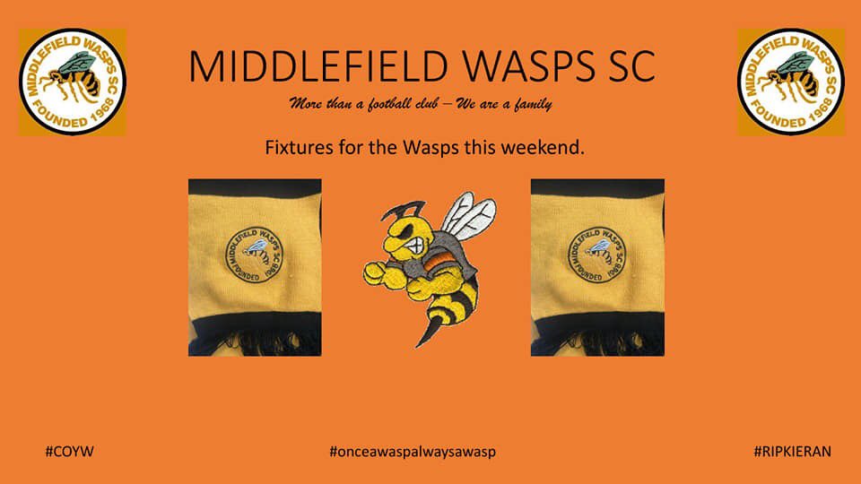 Middlefield Wasps tweet media