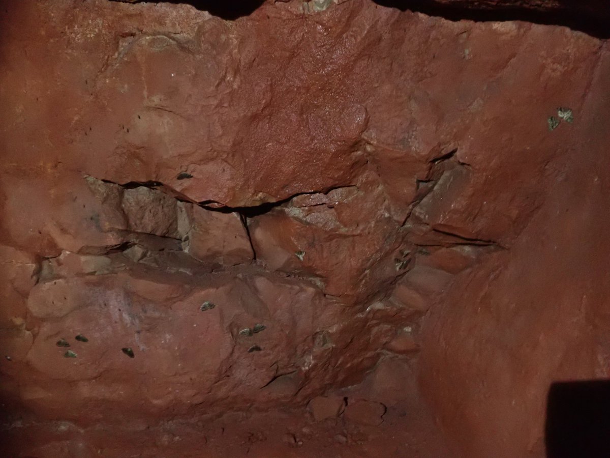 Mark Cubitt tweet media