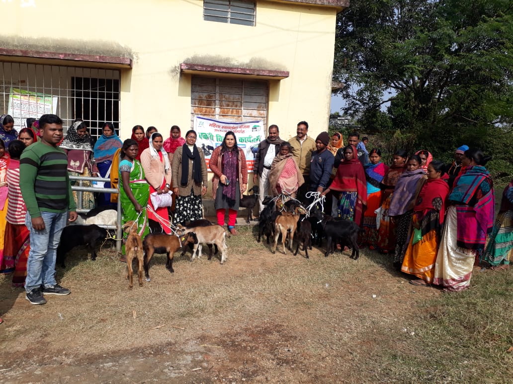 DC_Hazaribag's tweet photo. ग्रामीण क्षेत्रों की महिलाओं के आर्थिक विकास को बढ़ावा देने हेतु #Churchu प्रखंड में महिलाओं के बीच कुल 32 यूनिट बकरी का वितरण किया गया..... https://t.co/NuDDGoM6ha
