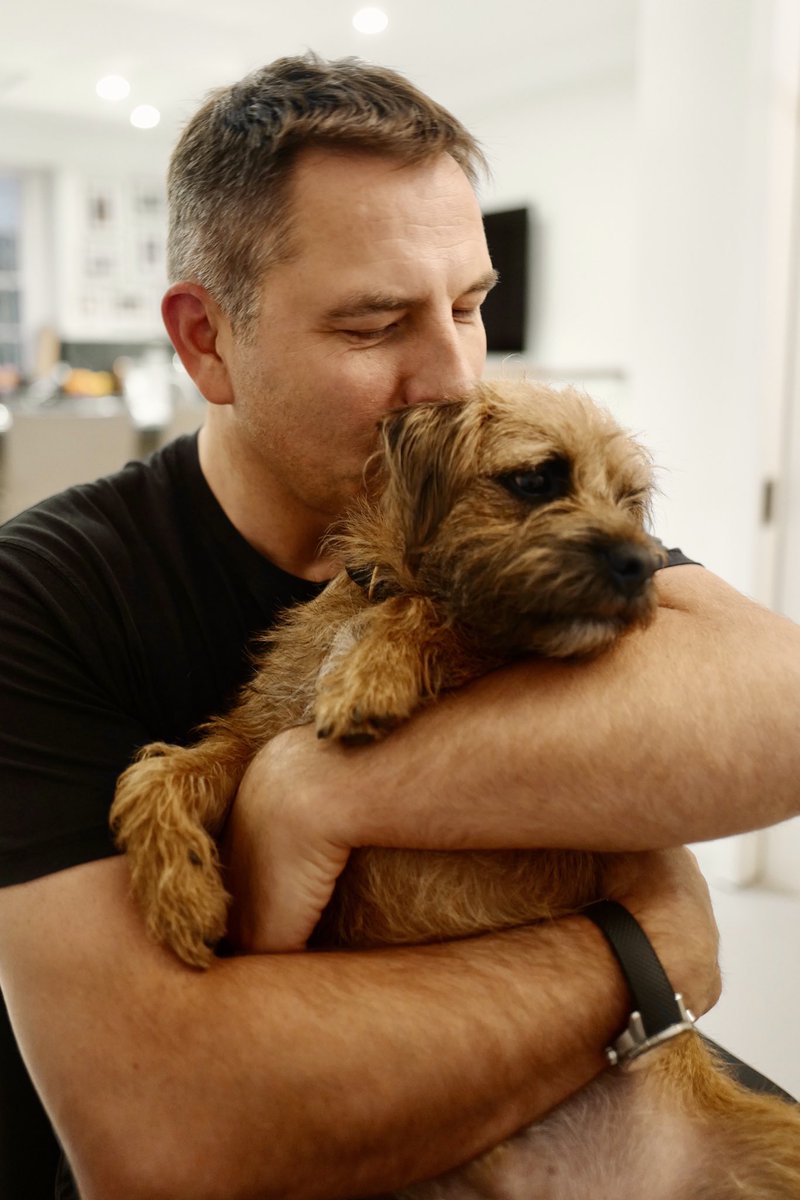 David Walliams HQ tweet media