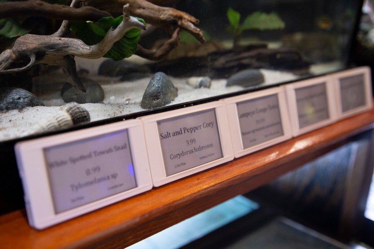 FWDigital's tweet image. We&apos;re pioneering digital tag solutions to new industries. Throughout 2018 and 2019 we implemented unique solutions to retail, dealerships, warehouses, and dispensaries. Read our latest blog to learn more. 
fwdigital.net/fwd-digital-ta…
#DigitalTags #sesimagotag #ESL #FWDigital