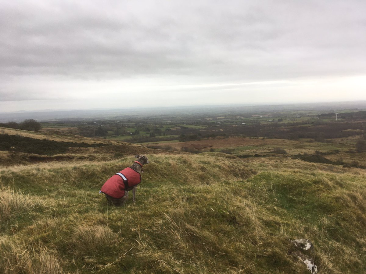 SeanmckSean's tweet photo. Day10 #100daysofwalking Thought I’d go up #AnCarn for a change.. and take a few leaps.. #ShaneCrossagh https://t.co/iJXCWddwZB