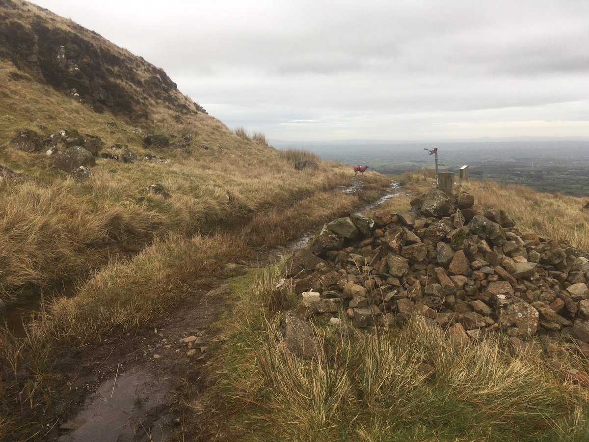 SeanmckSean's tweet photo. Day10 #100daysofwalking Thought I’d go up #AnCarn for a change.. and take a few leaps.. #ShaneCrossagh https://t.co/iJXCWddwZB