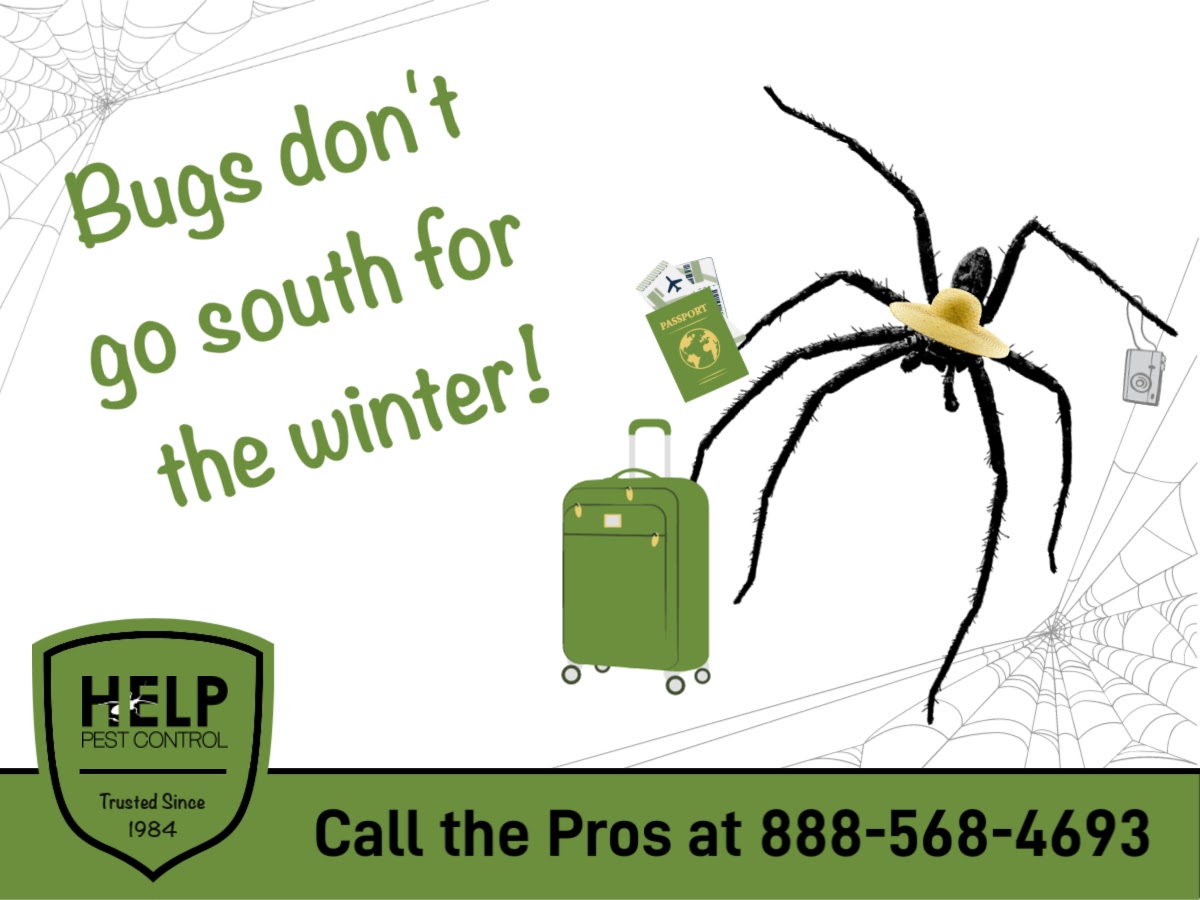 Bugs don't fly south for the winter! While they may be less active in the colder months, your home or business may still be hosting some unwanted visitors!

HELP Pest Control is on call year-round. Give us a call today at 888-568-4693.