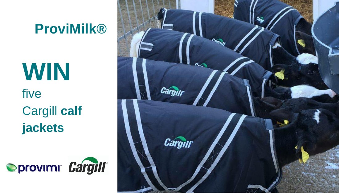 We’re taking a fresh look at the ProviMilk calf milk replacers and to celebrate are giving away 25 calf jackets to 5 lucky farmers. To be in with a chance of winning, simply retweet this post! #ProviMilk #calfcare #farm365