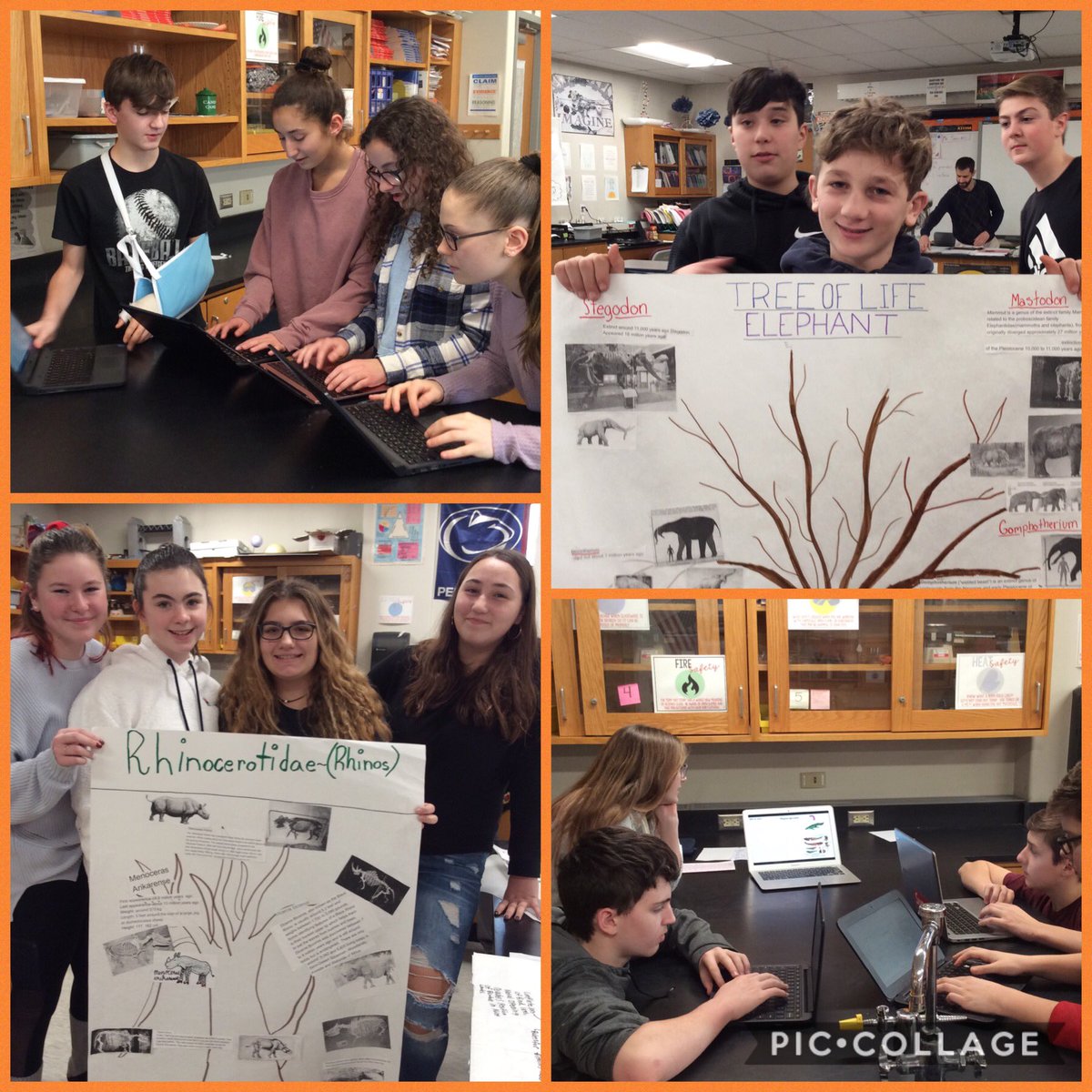 NFMiddleOrange's tweet photo. Students present their Tree of Life presentations in Mrs.  Lowry’s science class...#creativity #collaboration #MrsLowryNFMS https://t.co/RU9nqAD4g8