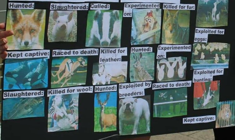 SuffolkActivism's tweet photo. Last Sunday we were in Bury St. Edmunds for an AR demo in memory of all animals killed in 2019. This enabled us to expose the various industries that exploit and kill animals. https://t.co/gWRd7PphPF