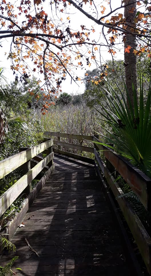 brevardmuseum's tweet photo. It's a beautiful day to visit the Brevard Museum of History and Natural Science. Enjoy a guided tour from one of our amazing docents and then take a relaxing walk on our nature trails! https://t.co/ymMq9YGYqZ