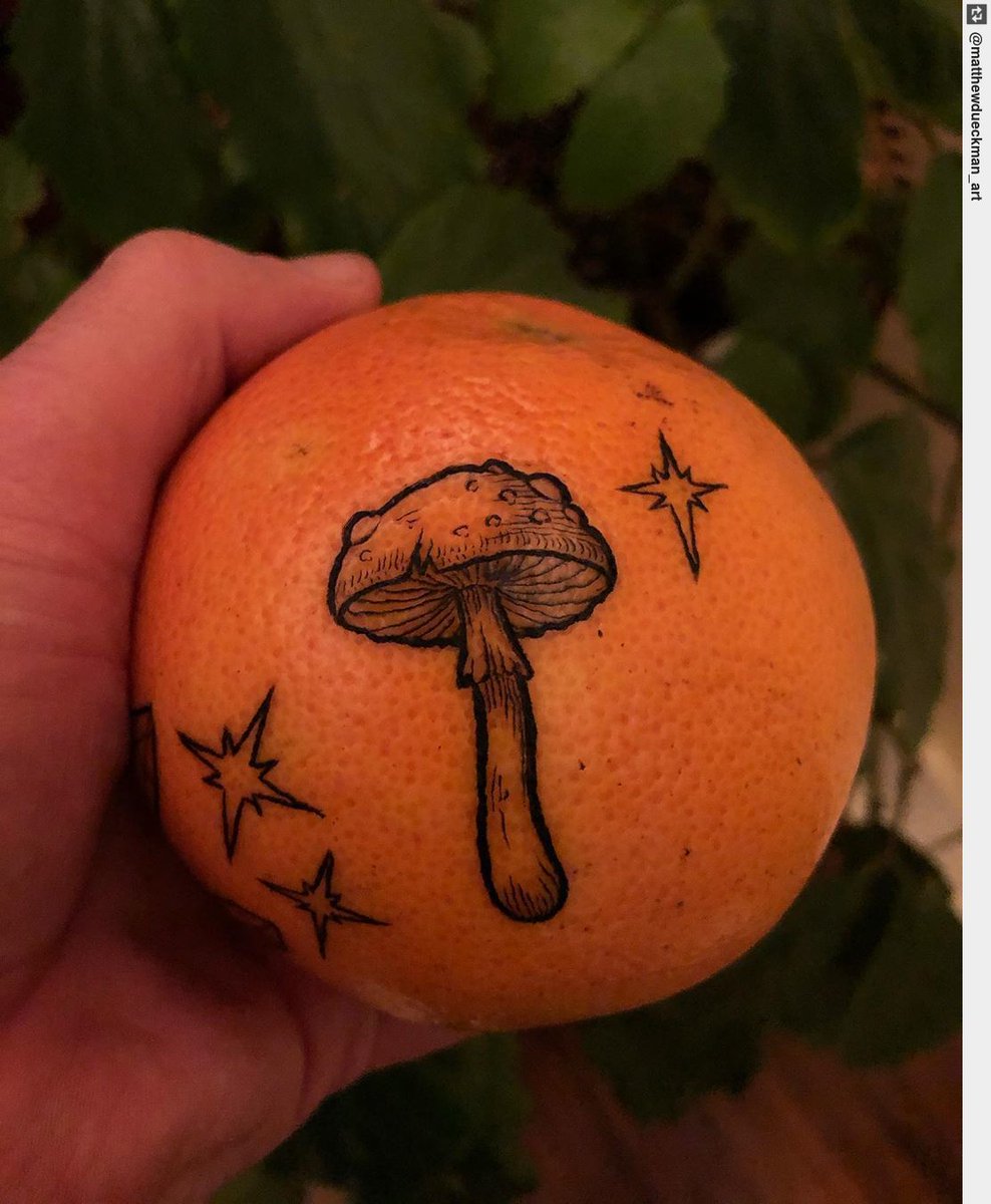 Top 61 Mushroom Tattoo Ideas 2021 Inspiration Guide #41 Top 61 Mushroom Tattoo Ideas 2021 Inspiration Guide
