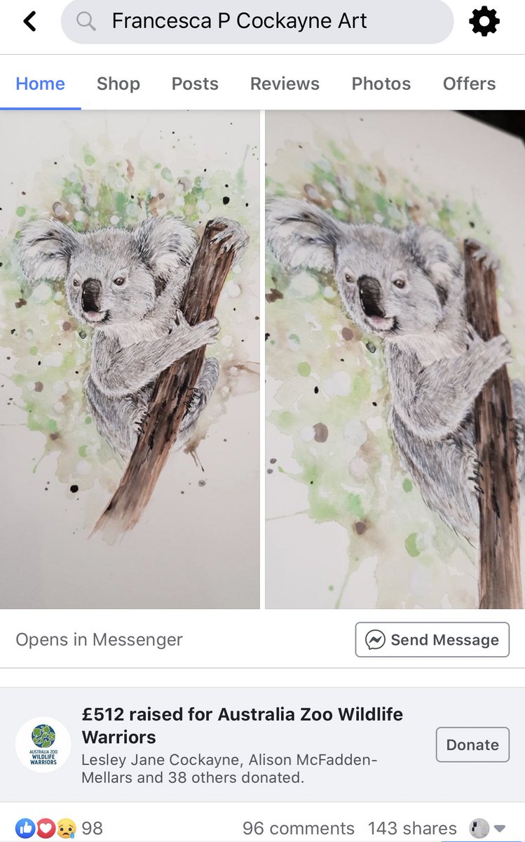 £512 raised so far for <a href="/wildwarriors/">Wildlife Warriors</a> ! (This is not including sales from the prints that will be going to @WIRES_NSW 9 prints sold and counting 🥰) thank you to everyone for your #support! It’s so appreciated 
#SaveAustraila #SaveTheKoalas #AustraliaOnFire #AustralianBushfire