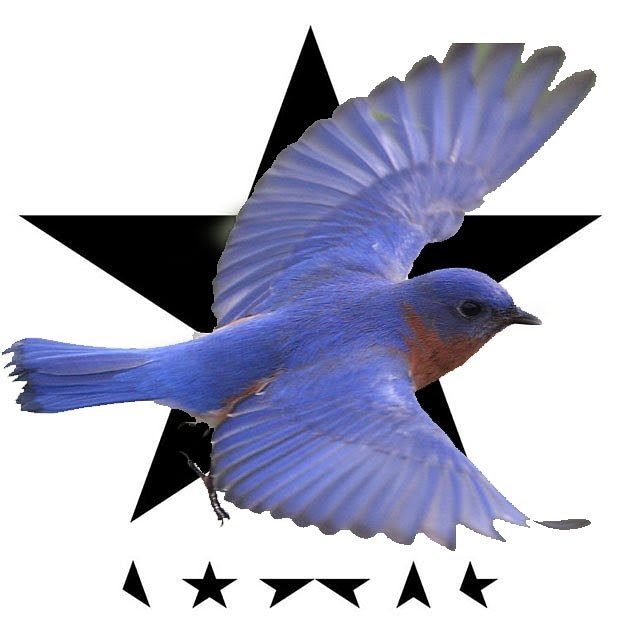 It's nothing to me
It's nothing to see
If I'll never see the English evergreens I'm running to
It's nothing to me
It's nothing to see

- Dollar Days
#BowieForever