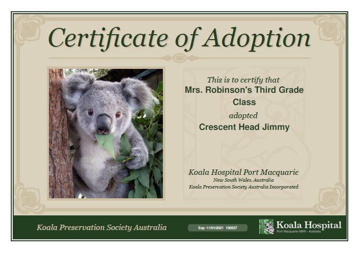 After hearing about the wildfires in Australia, we wanted to do something to help! Today, our class adopted Crescent Head Jimmy! We are planning to adopt another koala soon :) <a href="/HospitalKoala/">Koala Hospital</a>