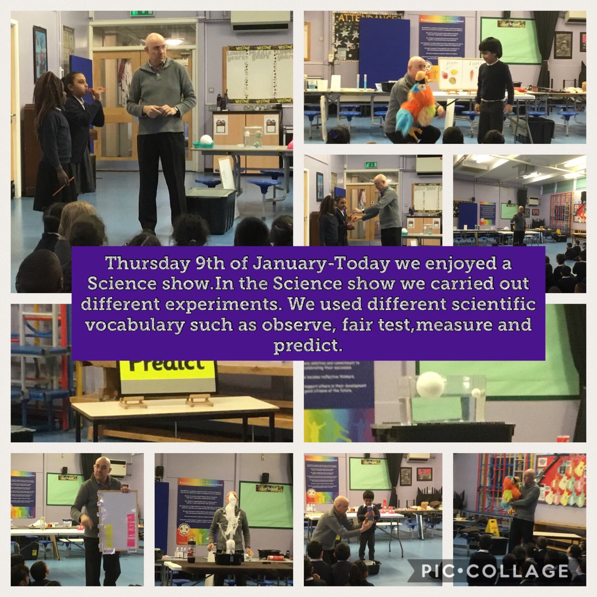 BCPS2G's tweet photo. This week has been Science week. We carried out a variety of experiments, investigated how we can make ice melt and did some research about  Jane Goodall @BCPSDeputy https://t.co/Ys0sQoXmmq