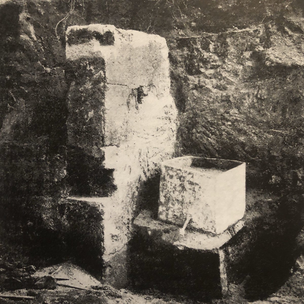 Dr Sophie Hay tweet media