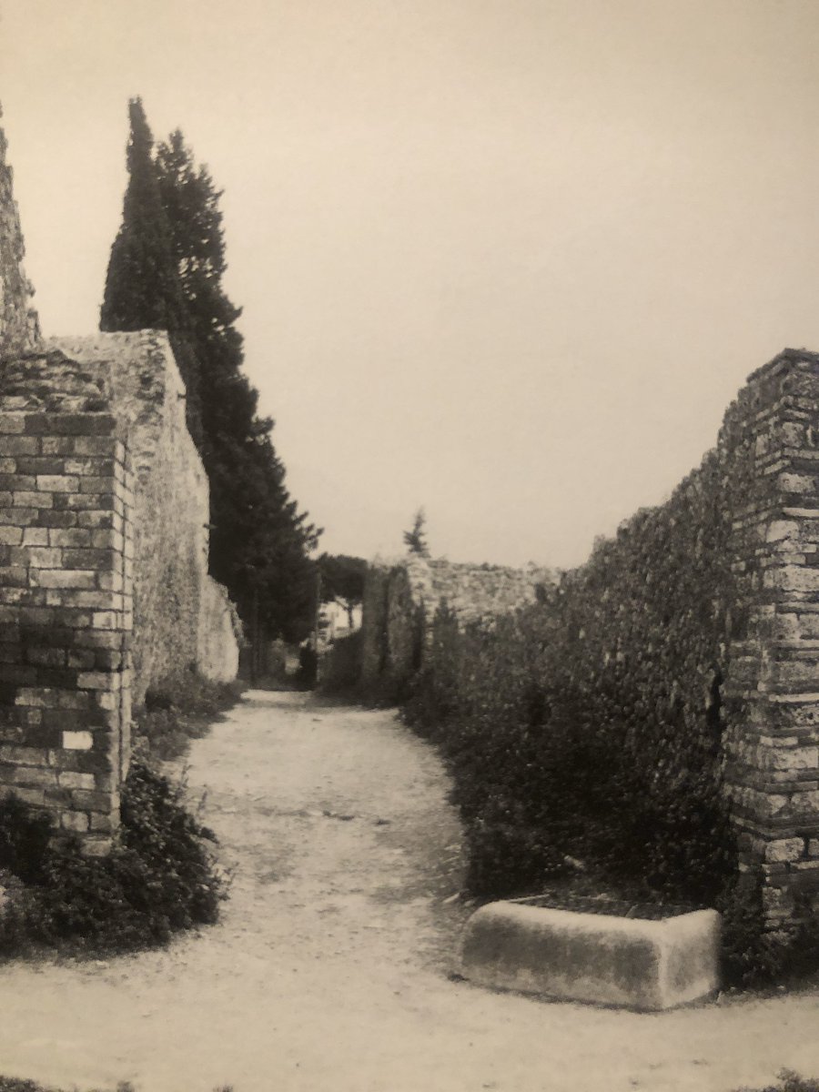 Dr Sophie Hay tweet media