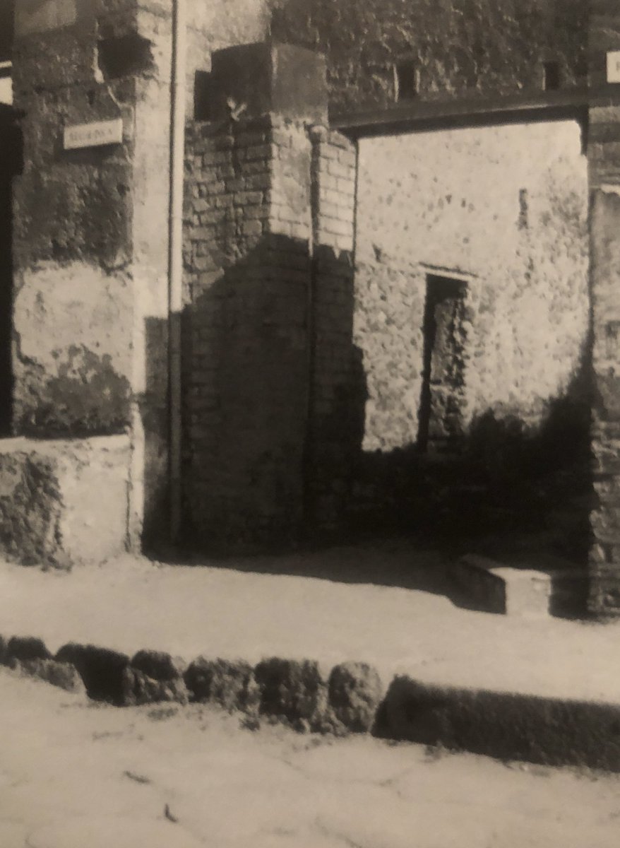 Dr Sophie Hay tweet media