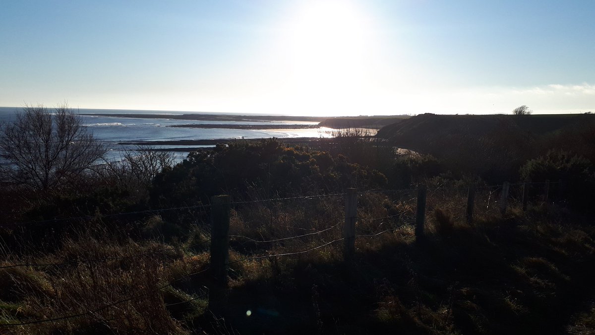 sadoldsamurai's tweet photo. And as always the sun shone on the righteous... Great day out with @coast_care #Volunteers #MakeingaDifference at Howick. https://t.co/XwllPKP3V9