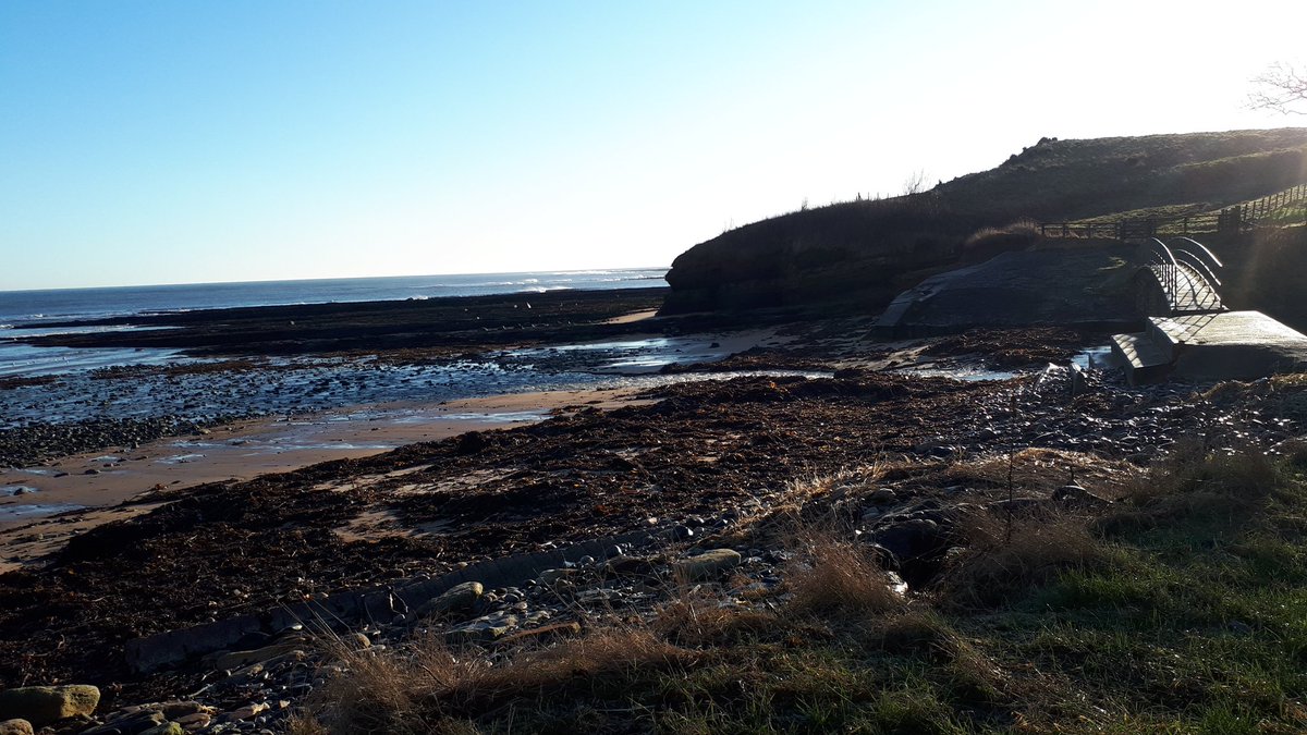 sadoldsamurai's tweet photo. And as always the sun shone on the righteous... Great day out with @coast_care #Volunteers #MakeingaDifference at Howick. https://t.co/XwllPKP3V9