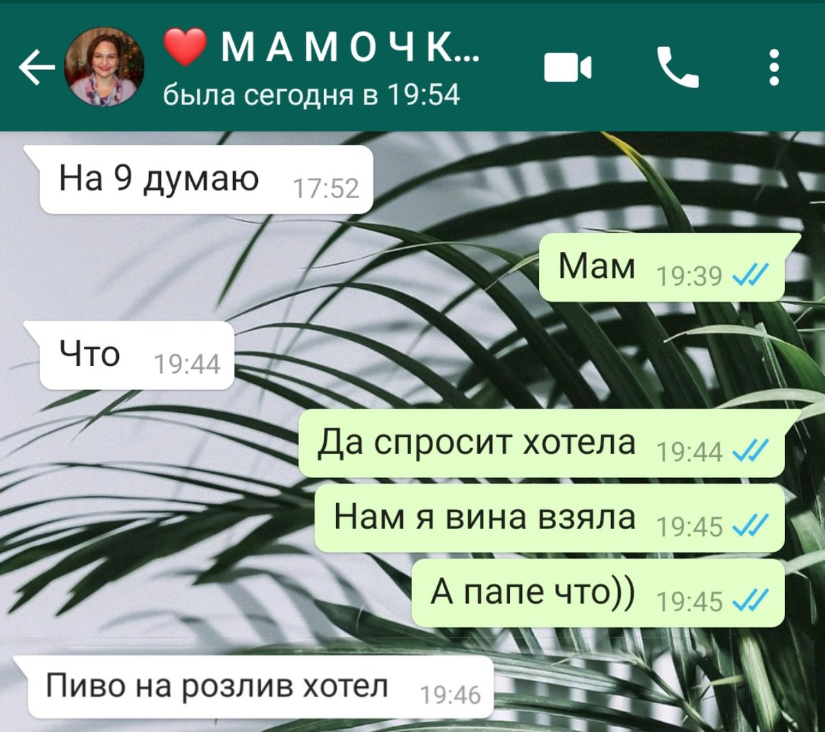 mnznkv's tweet photo. Покупаю алкоголь родителям, это што взрослая жизнь???????? https://t.co/k2ws4LtBBI