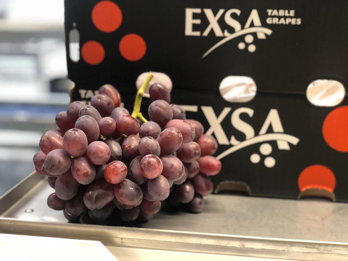 EXSA Grapes tweet media