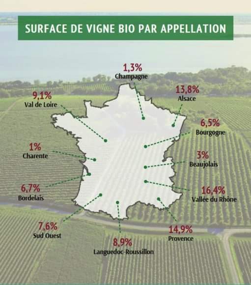 naturalvine's tweet photo. Surface of organic vines by denomination in France.

Source: @naturalstiledivita https://t.co/SO7dREj99T