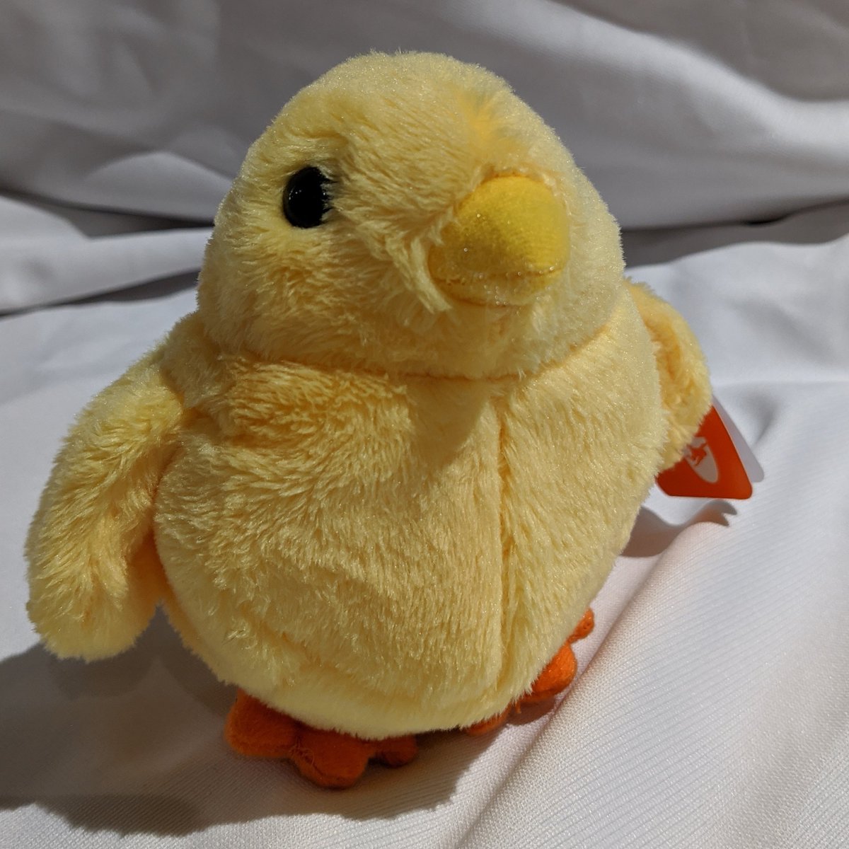 madRooster.com tweet media