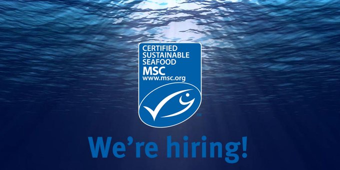 Are you passionate about our oceans and the marine life within it? 🐟 Are you an experienced administrator? If so, we have a role for you!

Apply for our Administrative Assistant role now 👉 via.msc.org/WeJJ50xS6Bz

#greenjobs #charityjobs #envirojobs