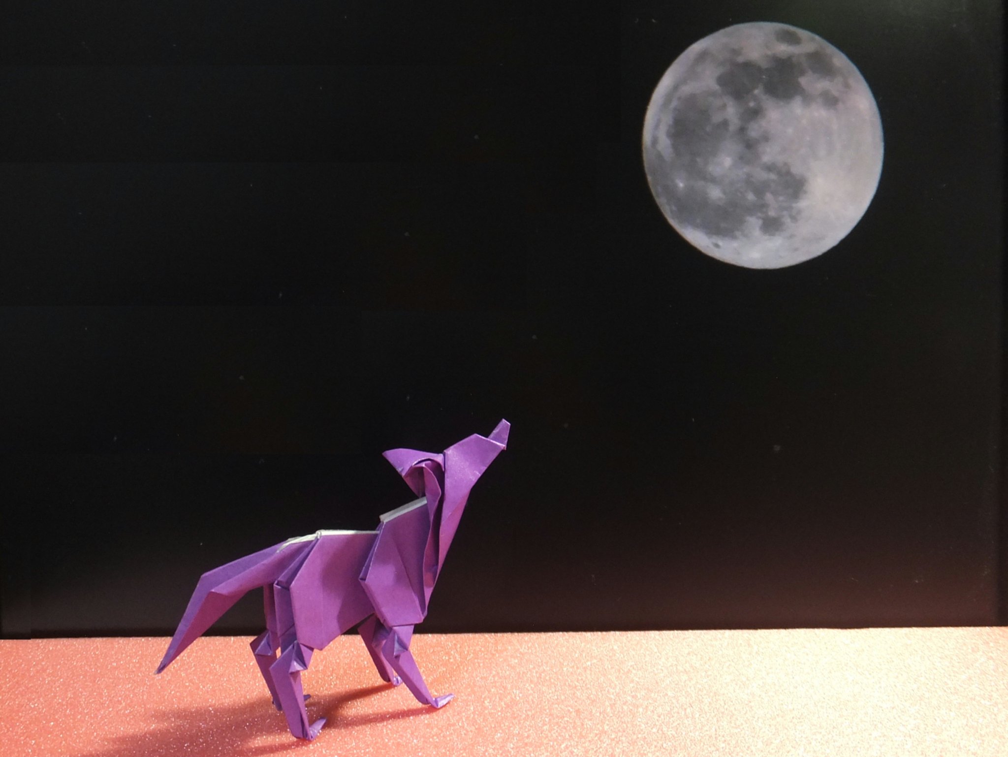大塚保之 今年最初の満月 ウルフムーン です 先ほどデジカメで撮りました 折り紙のウルフもいっしょです ウルフムーン オオカミ