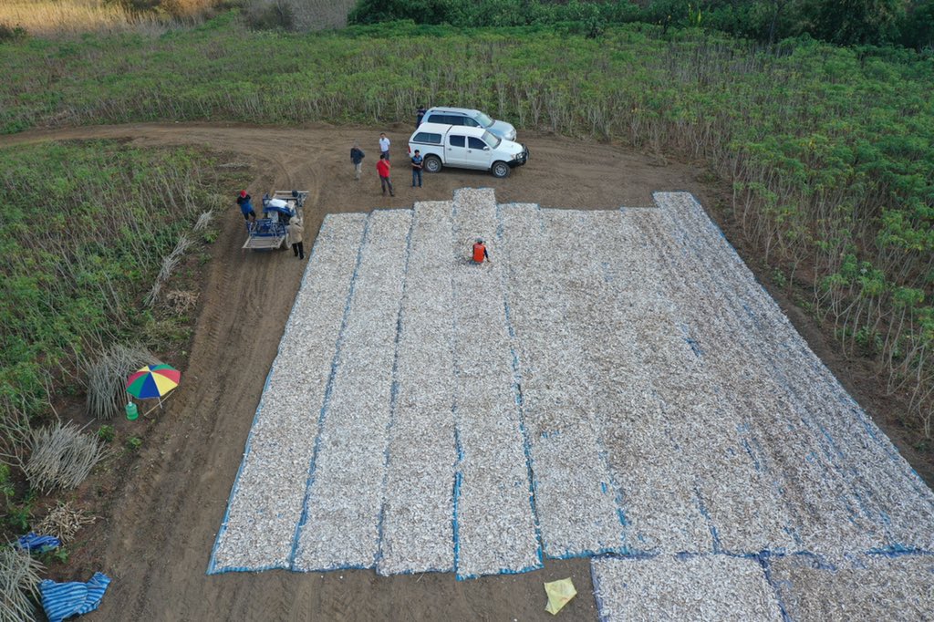 Jonathan Newby tweet media