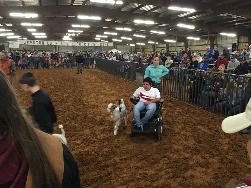 1SupeDog's tweet photo. County stock shows are awesome! Students learn responsibility, competition, and the gentle care of animals. You will also not find a more conscientious and well-mannered bunch of young adults! Congrats Ryleigh for 3rd in class! #VENUSPROUD https://t.co/Qu1i8bmZxa