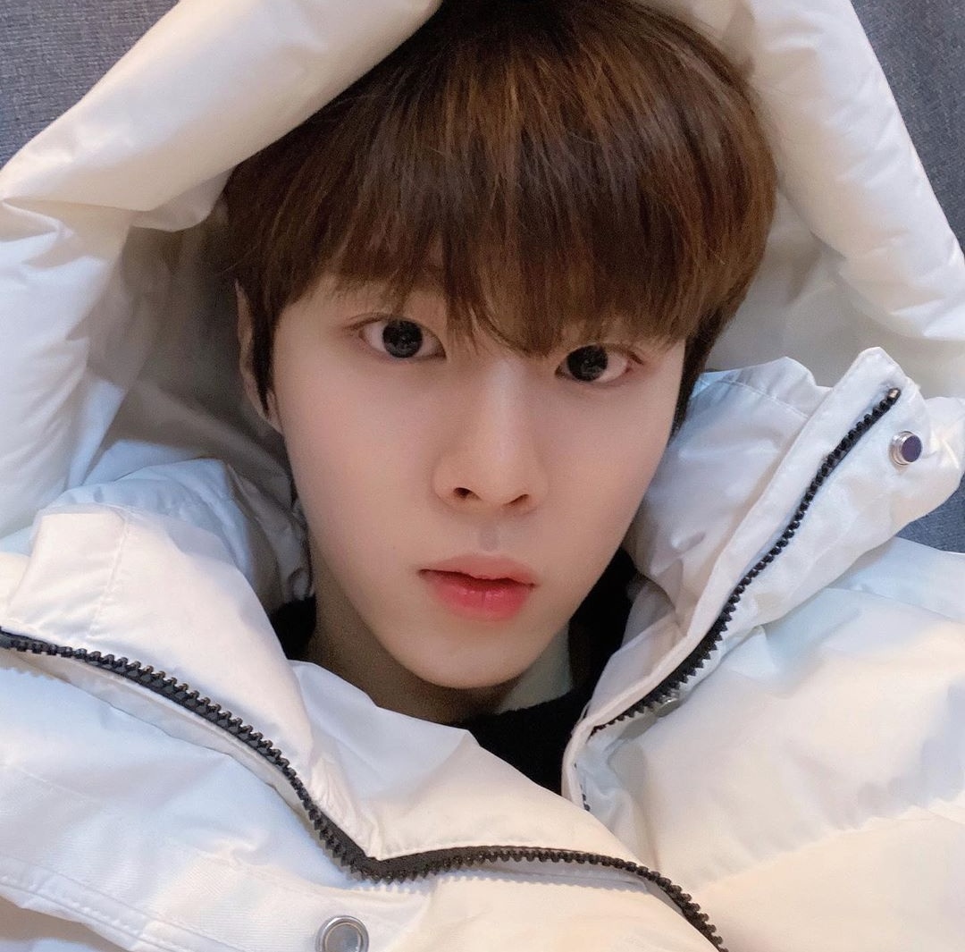 SeungyounSeason's tweet photo. WE ARE GETTING OFFICIAL PICTURES 😭😭😭😭😭😭

so far we get all of these 😭😭😭
#새롭게_비상할_엑스원
#X1_New_Flight https://t.co/jtGtaPcnbY