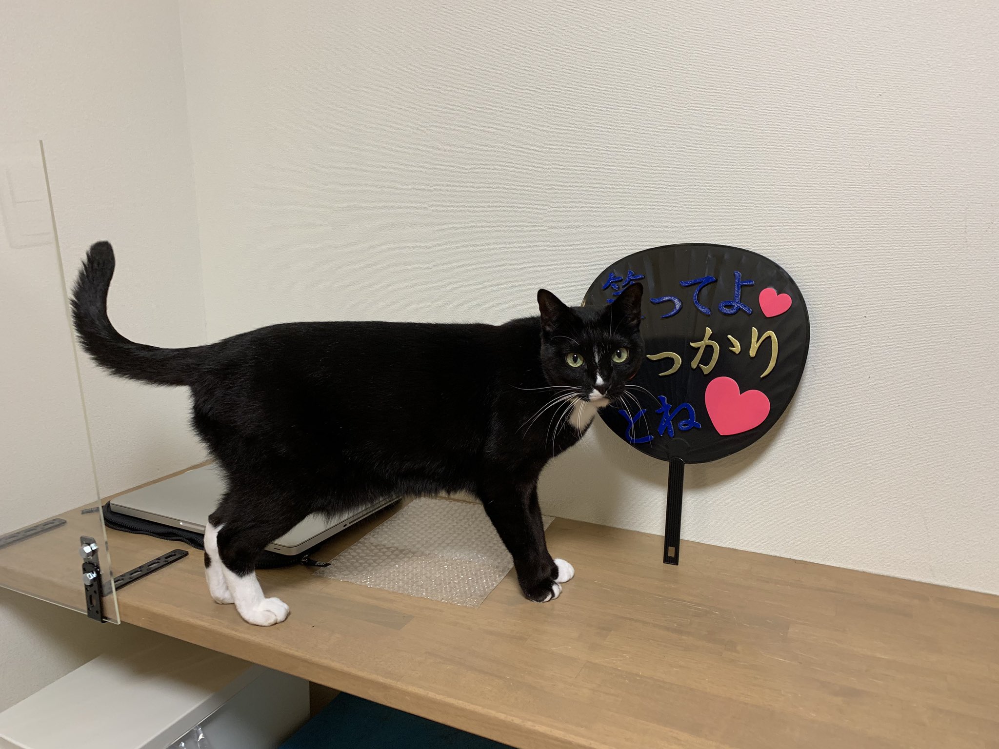 よかぜ Sur Twitter 明日はついに刀ミュ歌合 人生で初めてうちわ作った いらすとやさんの刀剣乱舞スタンプリスペクト 結構満足な出来栄え 青江に誉ぽんっできるといいなぁ T Co Jq4dwegdv8 Twitter よかぜ Sur Twitter 明日はついに刀ミュ歌合 人生で初めてうちわ作った いらすとやさんの刀剣乱舞スタンプリスペクト 結構満足な出来栄え 青江に誉ぽんっできるといいなぁ T Co Jq4dwegdv8 Twitter