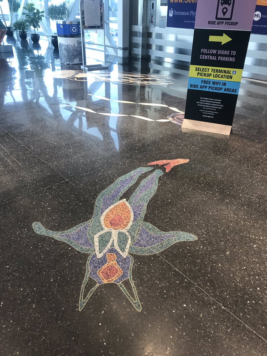 Echinocrepis's tweet photo. The skybridge to Boston Logan terminal A has pteropod and ctenophore art on the floor! There were probably some vertebrates too, but still! Very cool, and almost got me run over by annoyed travelers who didn’t get why I was taking pictures of the floor. #invertsrule https://t.co/FTdI22X2ru