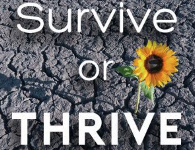 Sobriety_Nerd's tweet photo. If you've made the decision to quit drinking, do realize that SUFFERING IS OPTIONAL. Struggling daily IS OPTIONAL. "White knuckling it" IS OPTIONAL. #RecoveryPosse #Alcoholism #SoberAF #SoberWarrior #Addiction #EmpoweredNotPowerless https://t.co/xzRyWfefof