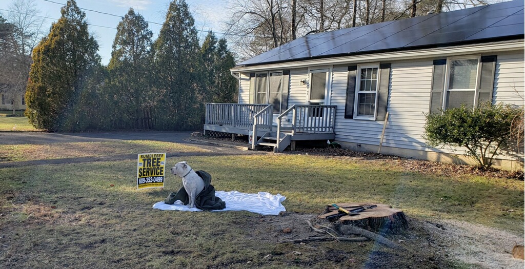 CastleEnergyLLC's tweet photo. 🐶🌞#solar #njsolar #solarenergy https://t.co/Fc9jCDNaqG