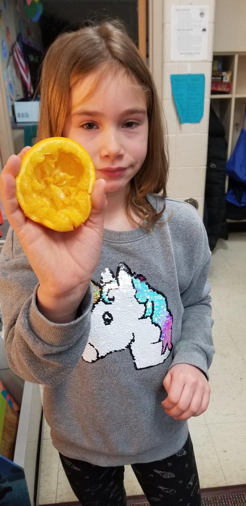 MrsKiebler's tweet photo. Our Star of the Week teaches us how to make fresh squeezed orange juice!  Yummy &amp; fun!   We all had a chance to try. https://t.co/cnhBO9XtxW