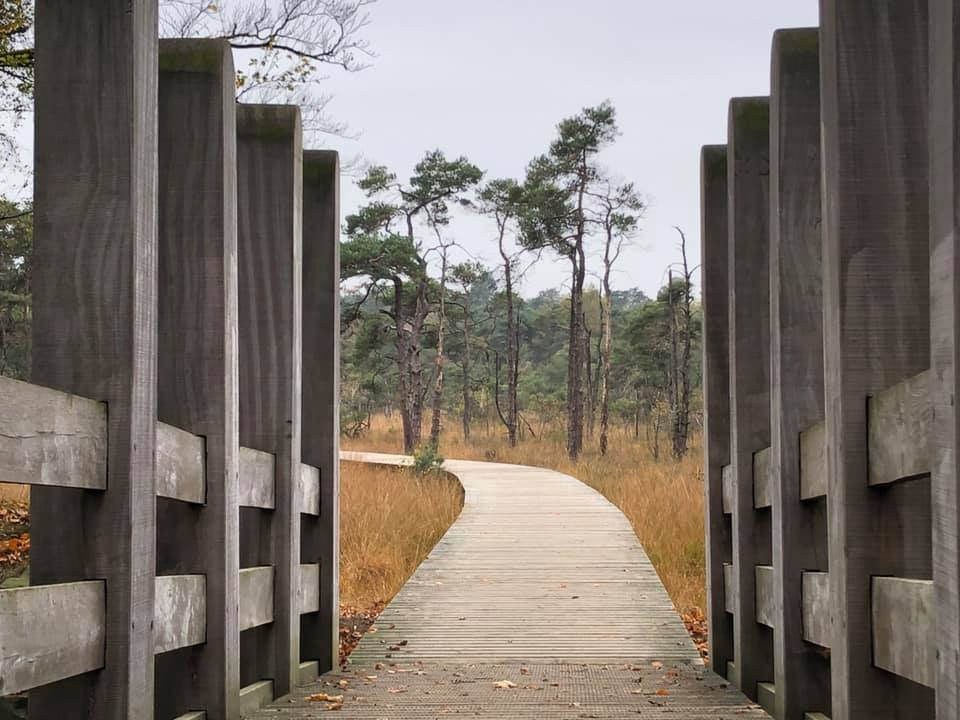 Je hebt een idee voor een #burgerinitiatief? Het platform Samen Voor Elkaar helpt je verder met een overzicht van subsidies en fondsen in #Overijssel. Handig! 
lnkd.in/dSW7THA <a href="/ProvOverijssel/">Provincie Overijssel</a> #twente #salland #kopvanoverijssel #vechtdal #regiozwolle #regiodeventer