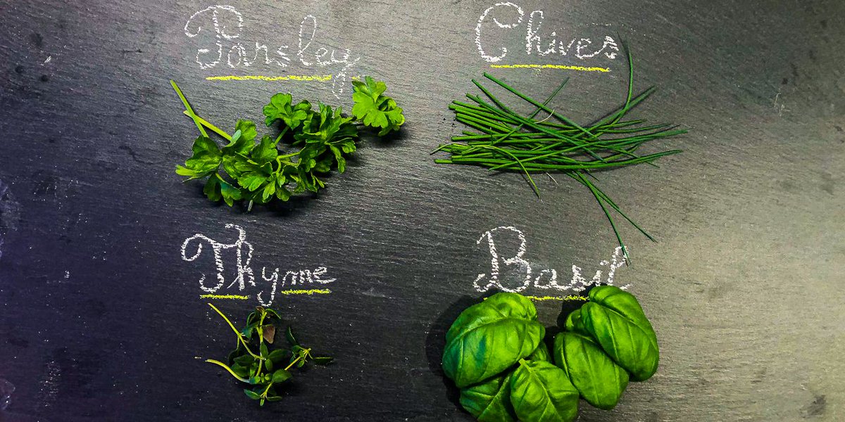 jessekitchen's tweet photo. 🌱🌱🌱🌱
Flavoring your recipes with fresh aromatic herbs is the best way to obtain subtle and harmonious savors.
My kitchen's top-4 herbs? Basil🌱, Flat Leaf Parsley🌱, Thyme🌱, and Chives🌱.
#KitchenHerbs #Culinary #Basil #Parsley #Chives #Thyme #Cooking https://t.co/u2RmQevPvn