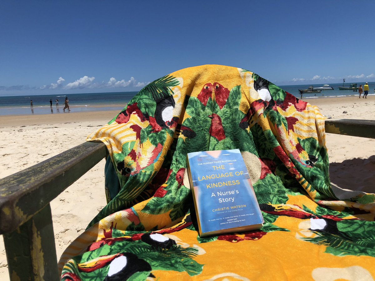 Mariana Carvalho tweet media