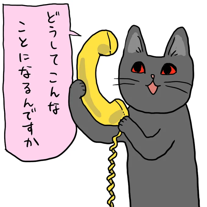 どうしてですかね 
