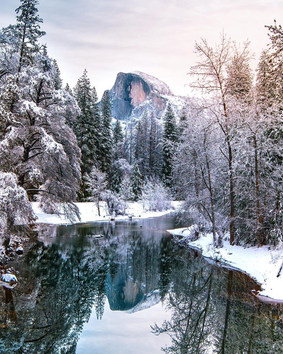 gorgeous_pix's tweet photo. Mountain reflections in Yosemite National Park. From u/unnaturalorder on /r/mostbeautiful #yosemitenationalpark #mountainreflections #mostbeautiful https://t.co/3K3wufx5sn